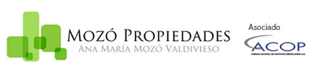 Mozo Propiedades